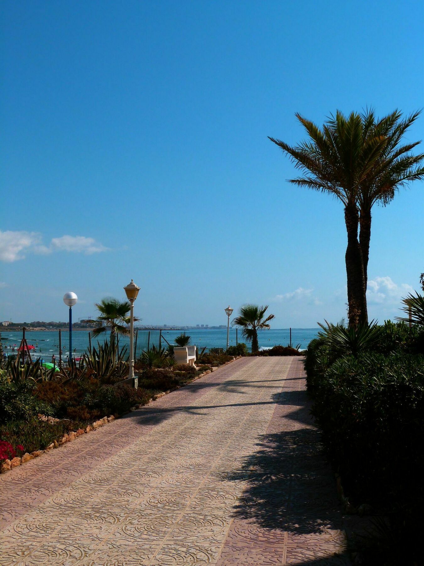 Shoal Apartamentos Orihuela Exterior photo