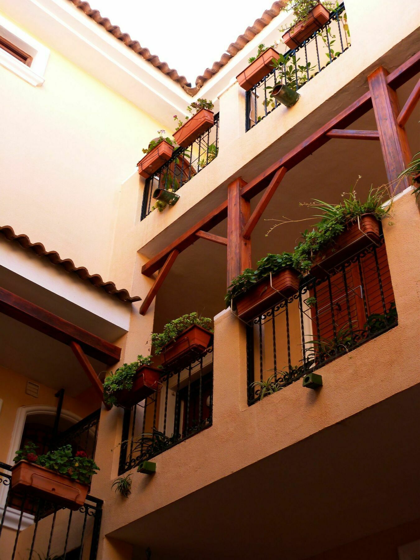 Shoal Apartamentos Orihuela Exterior photo